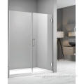 in line hinge style shower door